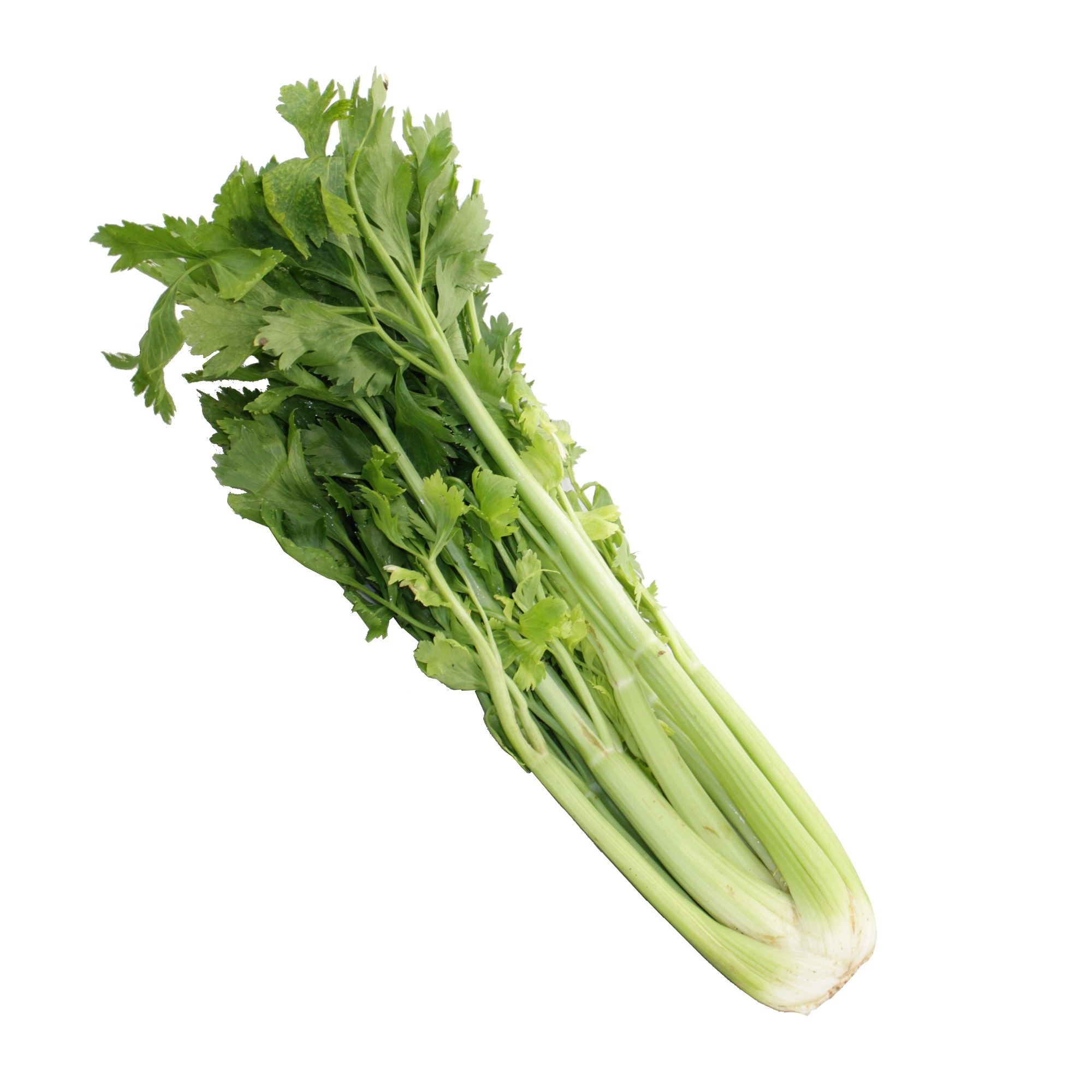 Api verd gros kg